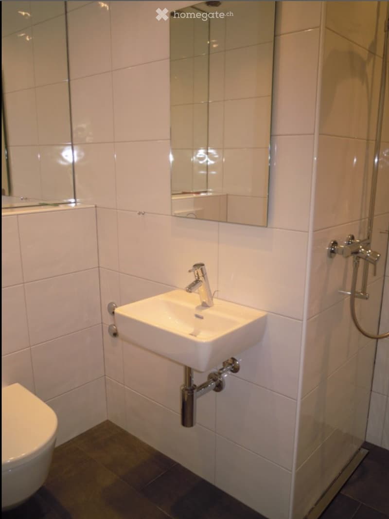 Modern bathroom with white tiled walls, a white sink with a chrome faucet, a toilet, and a large mirror above the sink. The shower area is visible to the right with a glass enclosure.