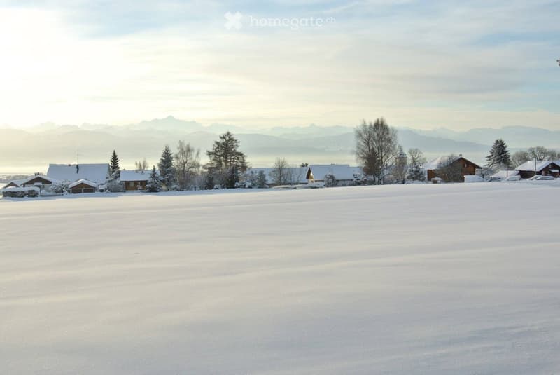 Snow-covered field with scattered houses and trees, distant mountains under a clear sky.