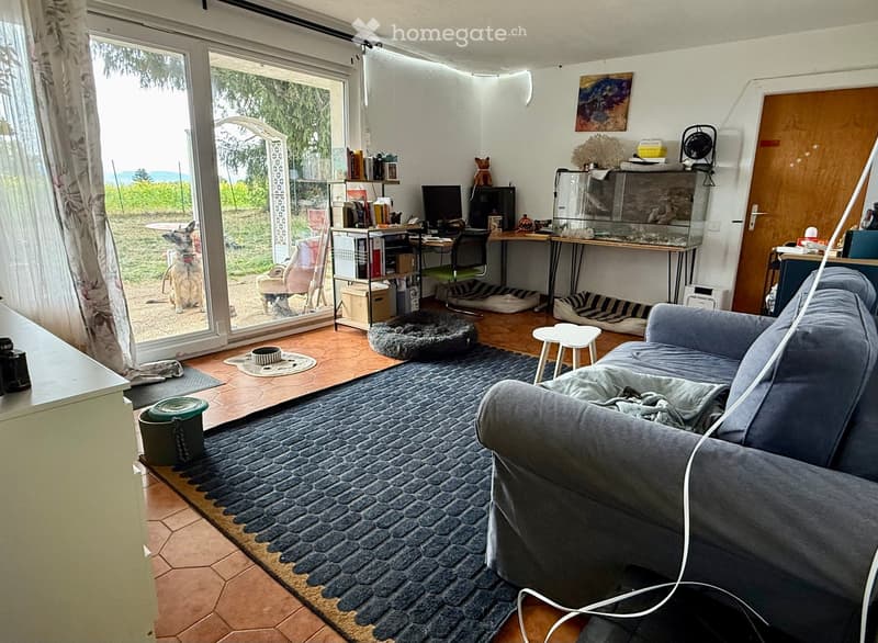 A cozy living room with a grey sofa, a small white stool, a fish tank, a fan, a screen, a dog bed, a dog bowl, a bookshelf, a laptop, and a cat carrier. The room has large windows with a view of the garden, and a dog is visible outside.