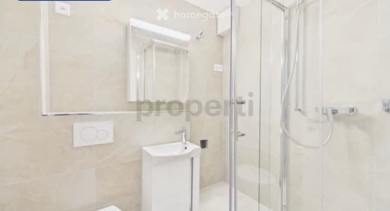 Modern bathroom with a white sink, a large mirror, and a glass-enclosed shower area.