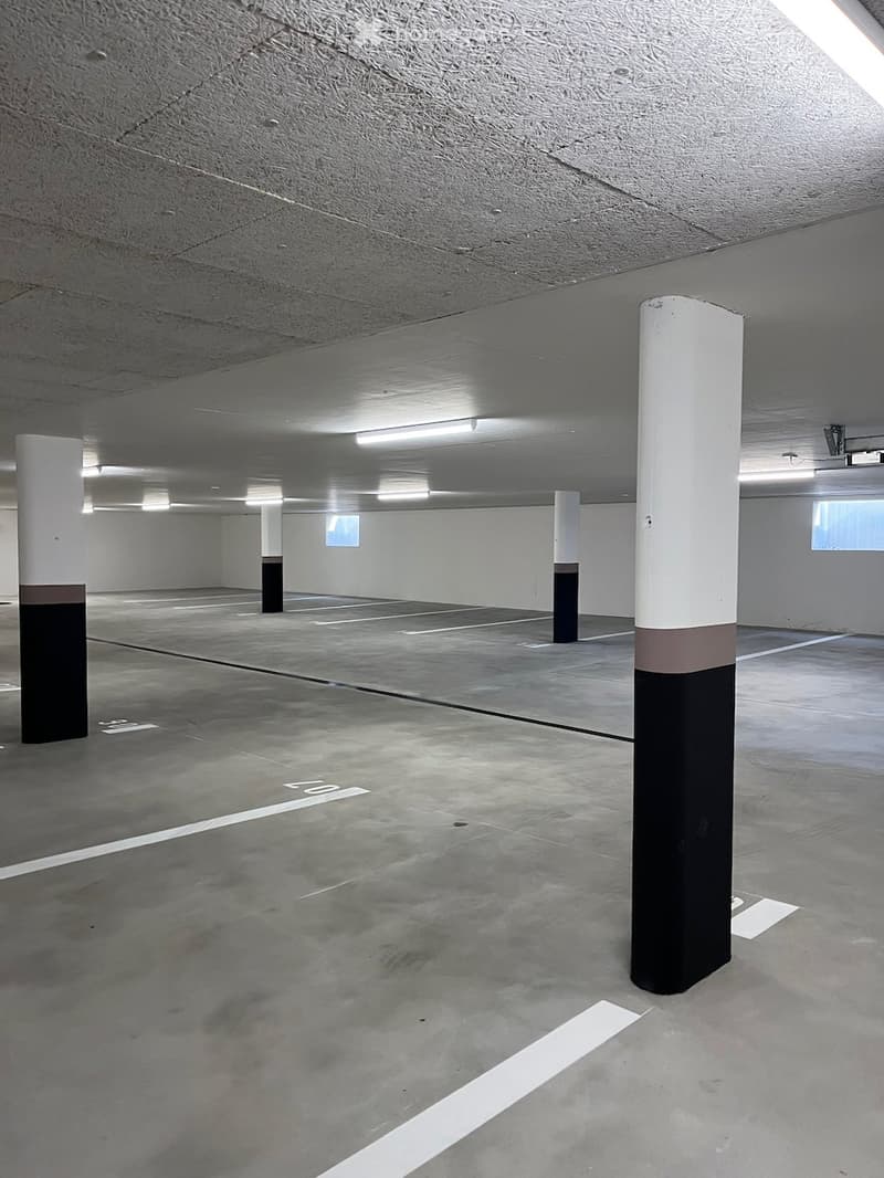 Empty underground parking area with concrete floors, white and black painted pillars, and fluorescent lighting.