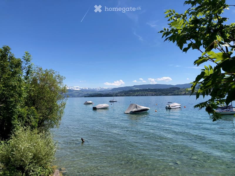 A serene lake with several boats anchored, surrounded by lush greenery and distant mountains under a clear blue sky.