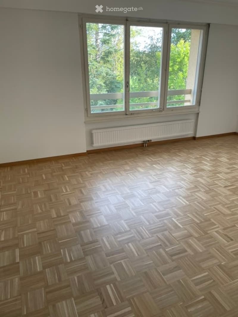 Empty room with wooden parquet flooring, white walls, large windows with a view of greenery, and a radiator below the windows.