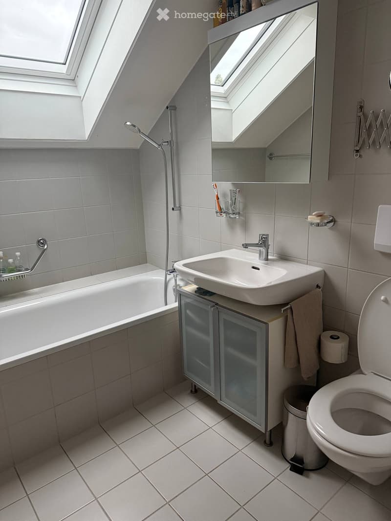 Modern bathroom with a bathtub, sink, toilet, mirror, and showerhead. Features include a glass-fronted cabinet under the sink, a towel rack, and a trash can.