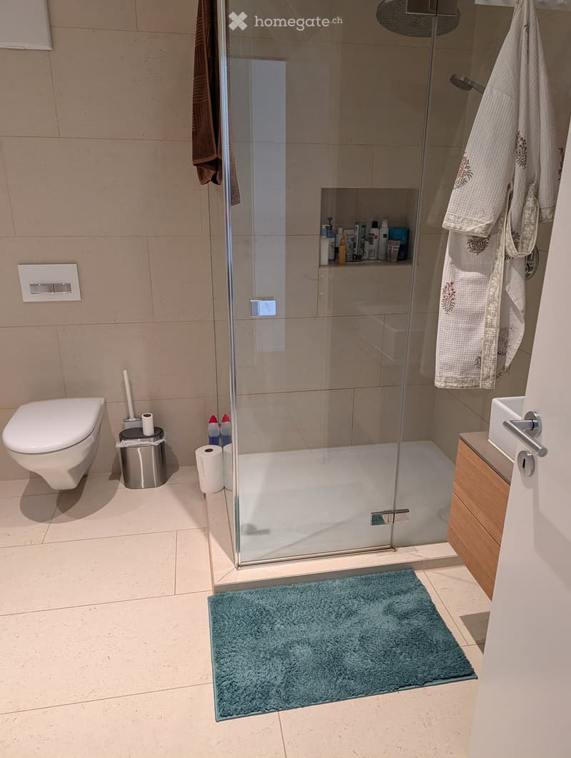 Modern bathroom with a glass-enclosed shower, toilet, sink, and wooden cabinet. Includes a blue bath mat, towels, and toiletries.
