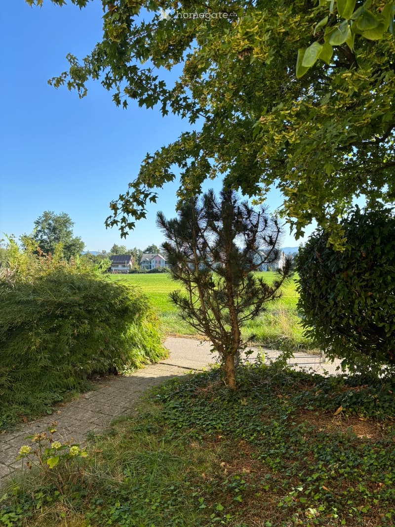 A pathway lined with trees and greenery leads to a grassy field with houses in the background under a clear blue sky.