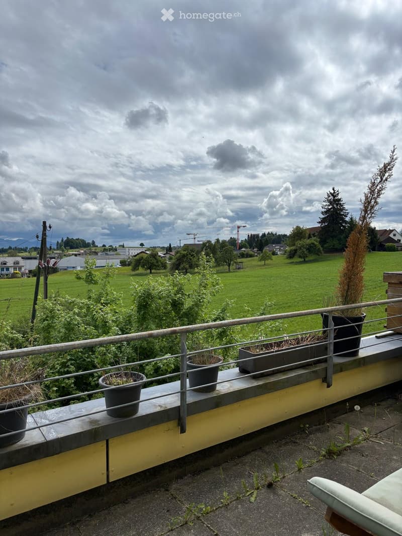 Balcony with metal railing, potted plants, and a single chair, overlooking a green field and distant buildings.