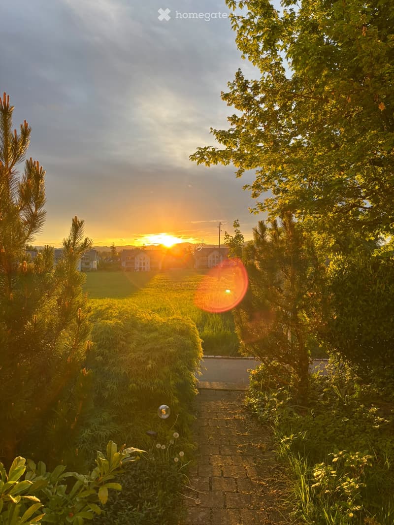 A garden path lined with trees and shrubs leads towards a sunset view of houses in the distance.
