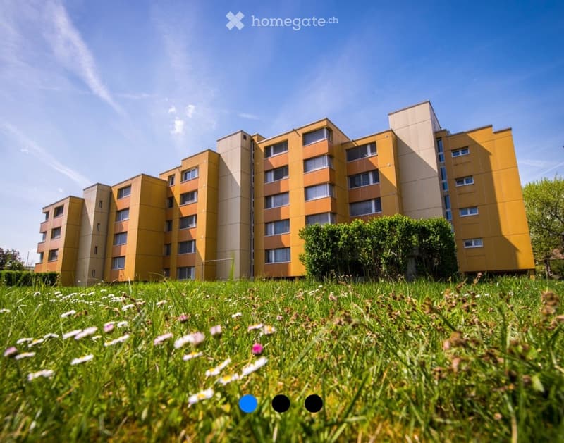 Multi-story yellow residential building with numerous windows and balconies, surrounded by green grass and small white flowers.