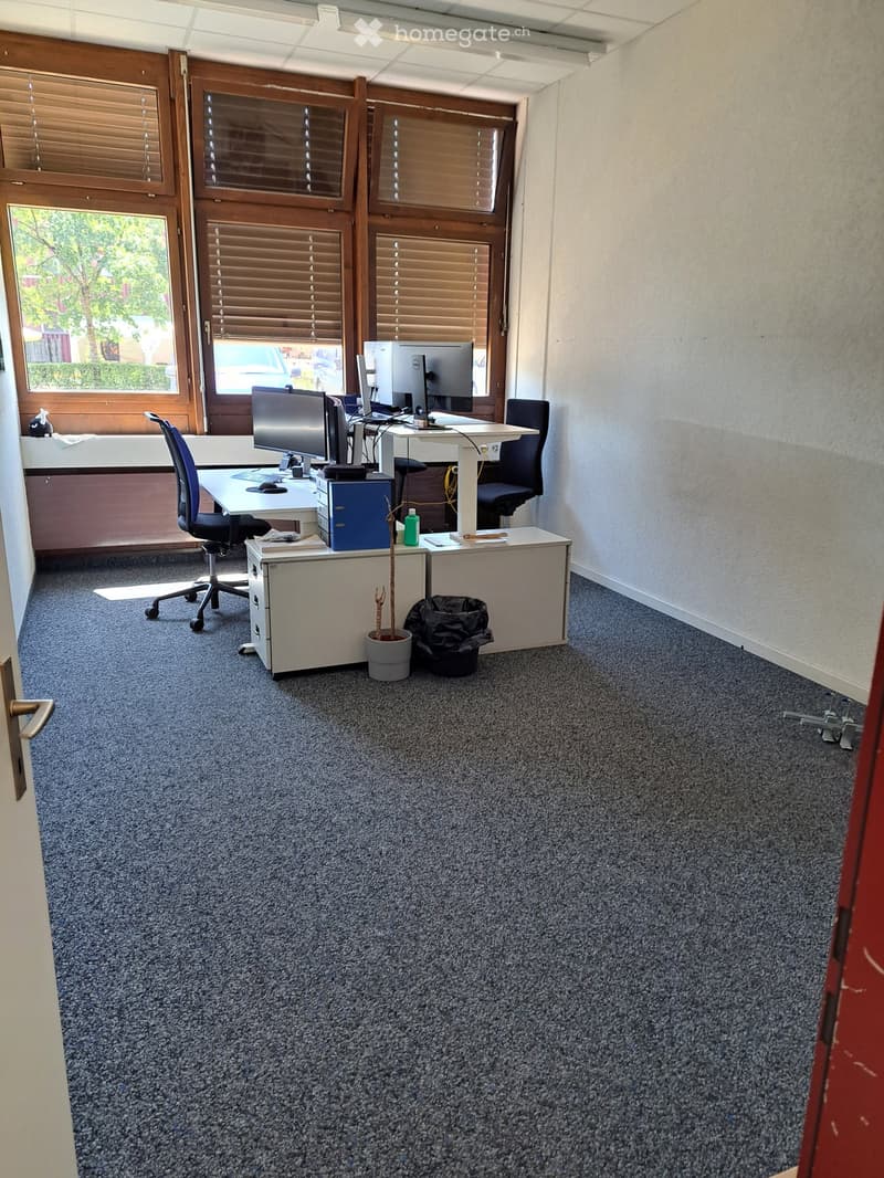 Office space with a desk, two chairs, computer setup, cabinets, potted plant, and trash bin.
