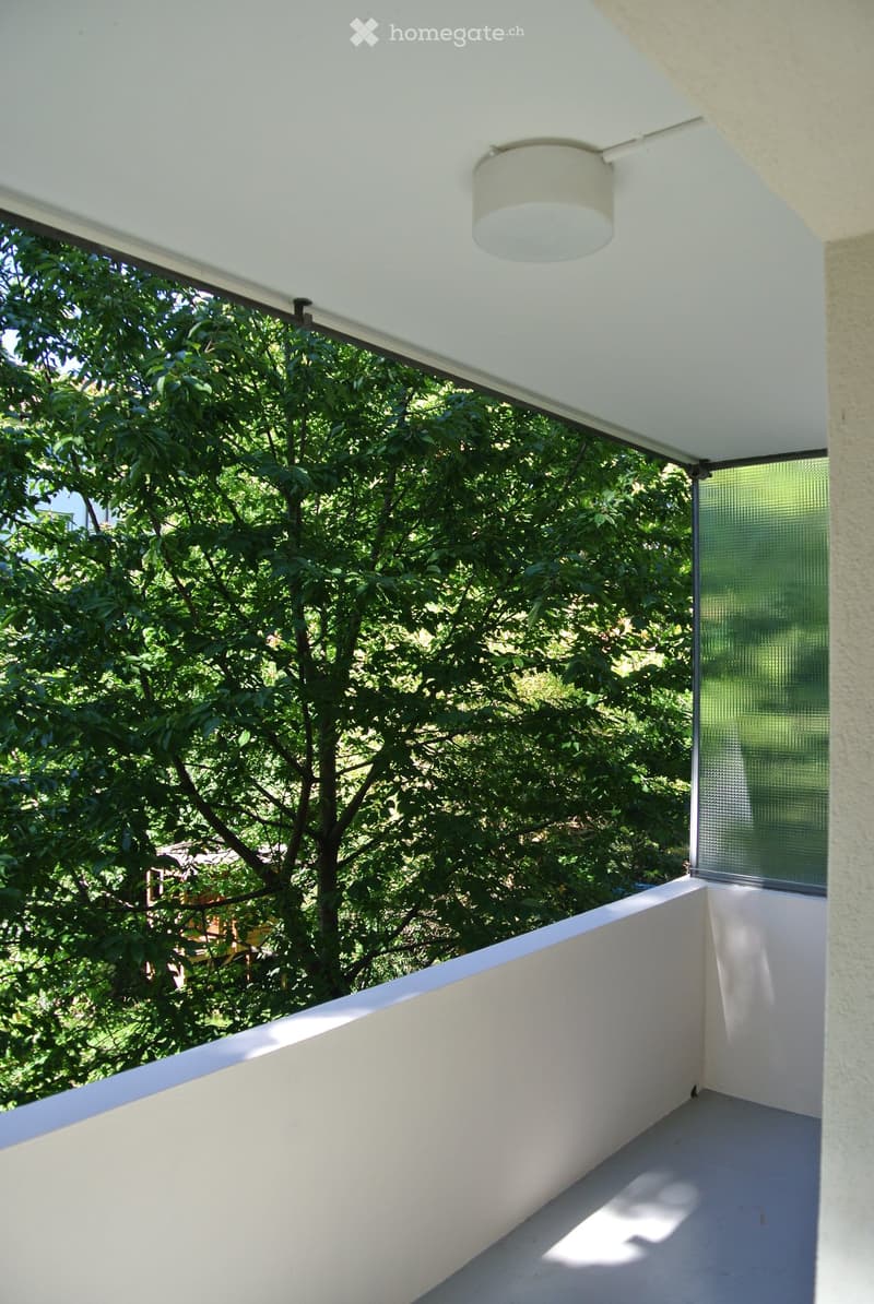 Modern balcony with white walls, a sleek railing, and a round ceiling light fixture. The balcony overlooks a lush green tree and offers a serene outdoor view.