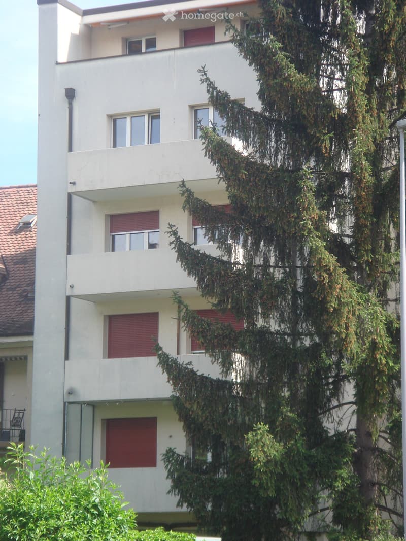 Haus Gartenseite