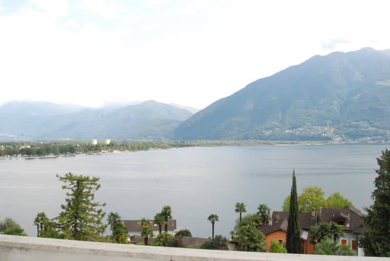 Scenic view of a lake surrounded by mountains, with trees and houses visible in the foreground.