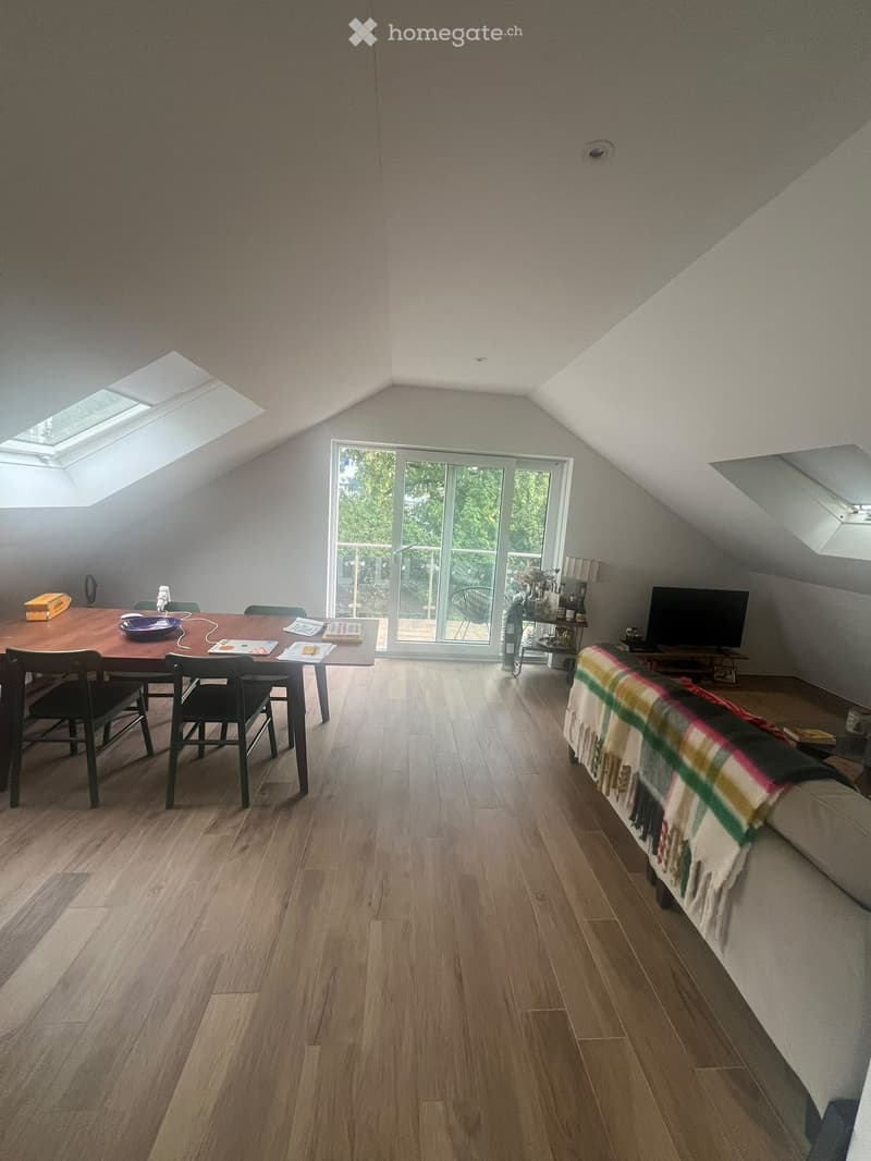 Bright, open living and dining area with wooden flooring, large windows, and skylights. Features a sofa with a blanket, a dining table with chairs, and a TV on a stand.