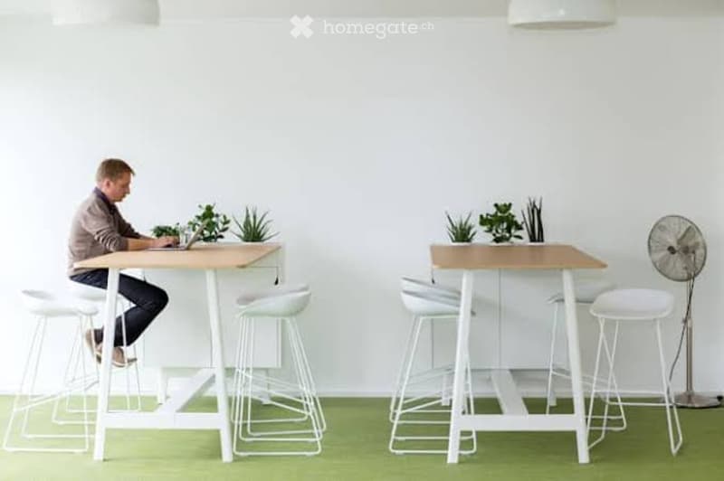 A modern, minimalist workspace with two tables, white stools, a laptop, and small potted plants. The room features a green carpet and white walls.