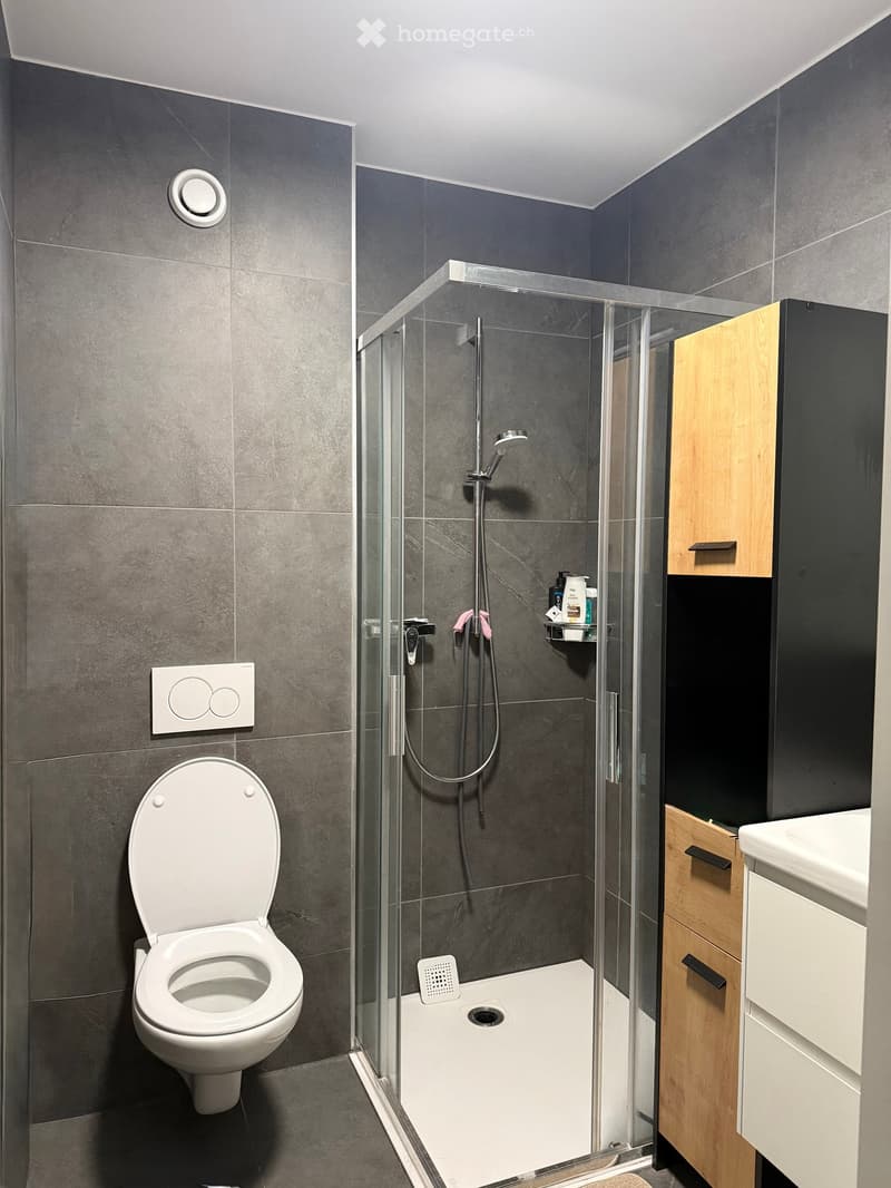 Modern bathroom with dark grey tiles, a white toilet, a glass-enclosed shower, and a wooden cabinet with a sink.