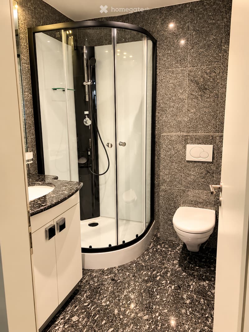 Modern bathroom with dark marble tiles, a glass-enclosed shower, a white toilet, a sink with a marble countertop, and a white cabinet.