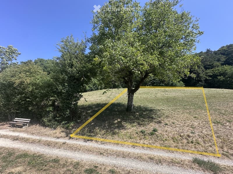A grassy outdoor area with trees, a bench, and a clear blue sky. The area is marked with a yellow outline, indicating a designated space.