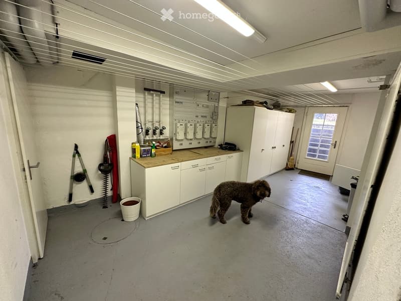 utility room, white cabinets, countertop, dog, storage, tools