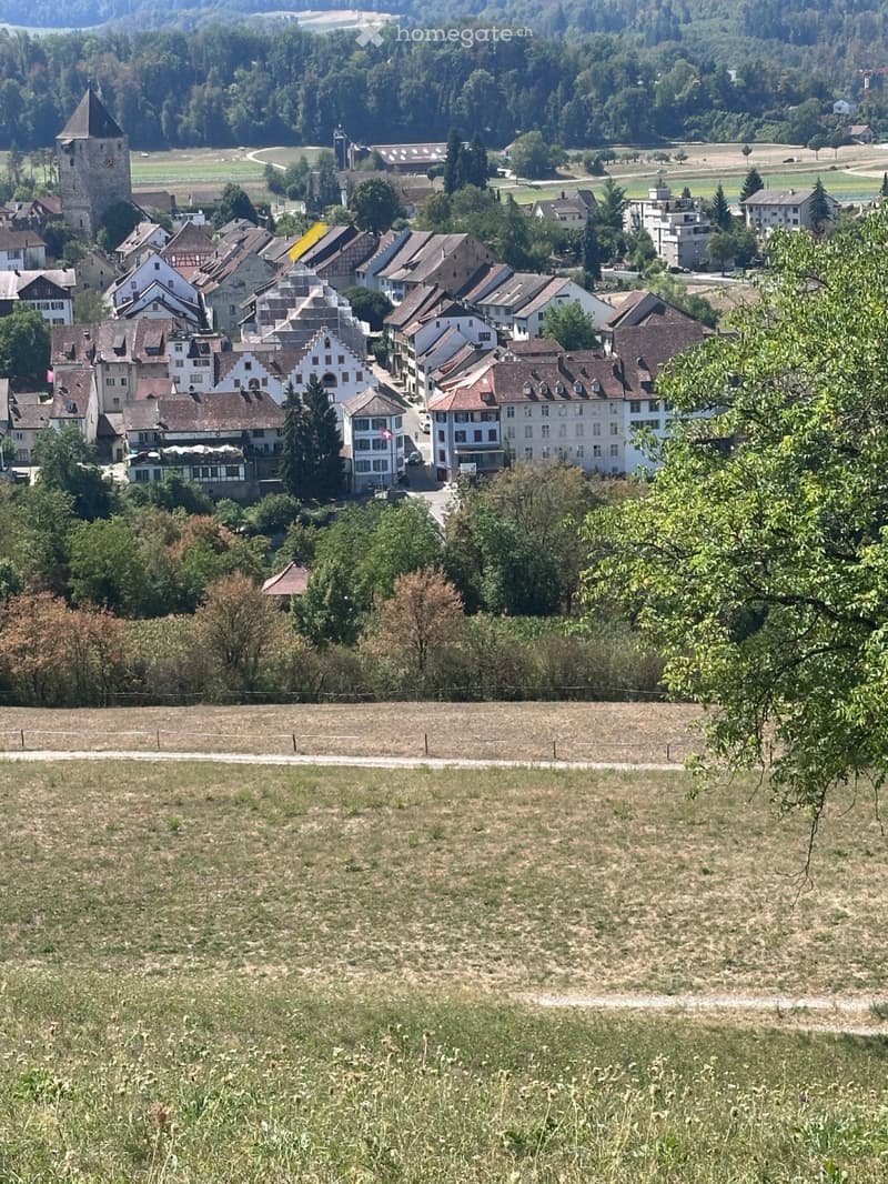 A picturesque village with traditional houses, a prominent tower, and surrounding greenery, set in a valley with open fields and distant hills.