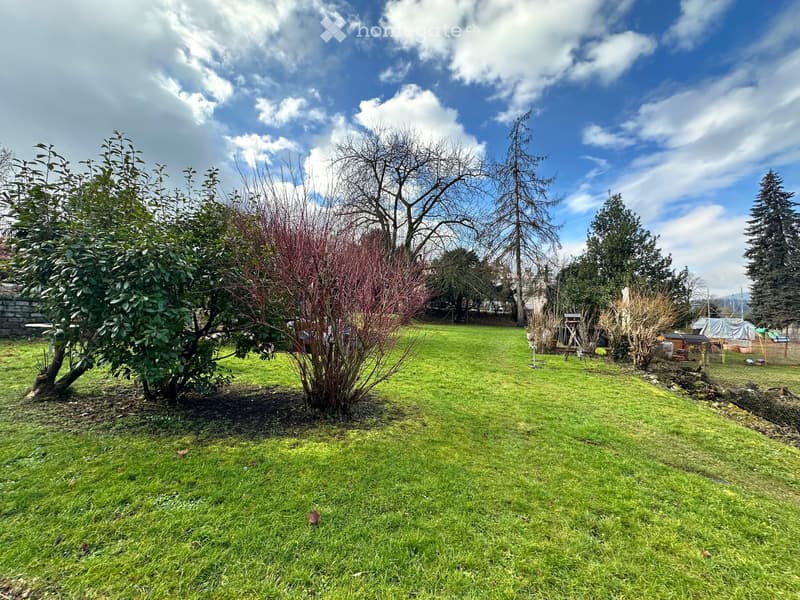 open lawn, trees, plants, garden shed, and other garden structures