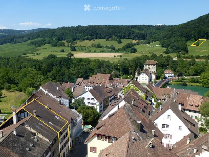 Several houses, brown rooftops, surrounded by greenery, river visible, mountains in the background