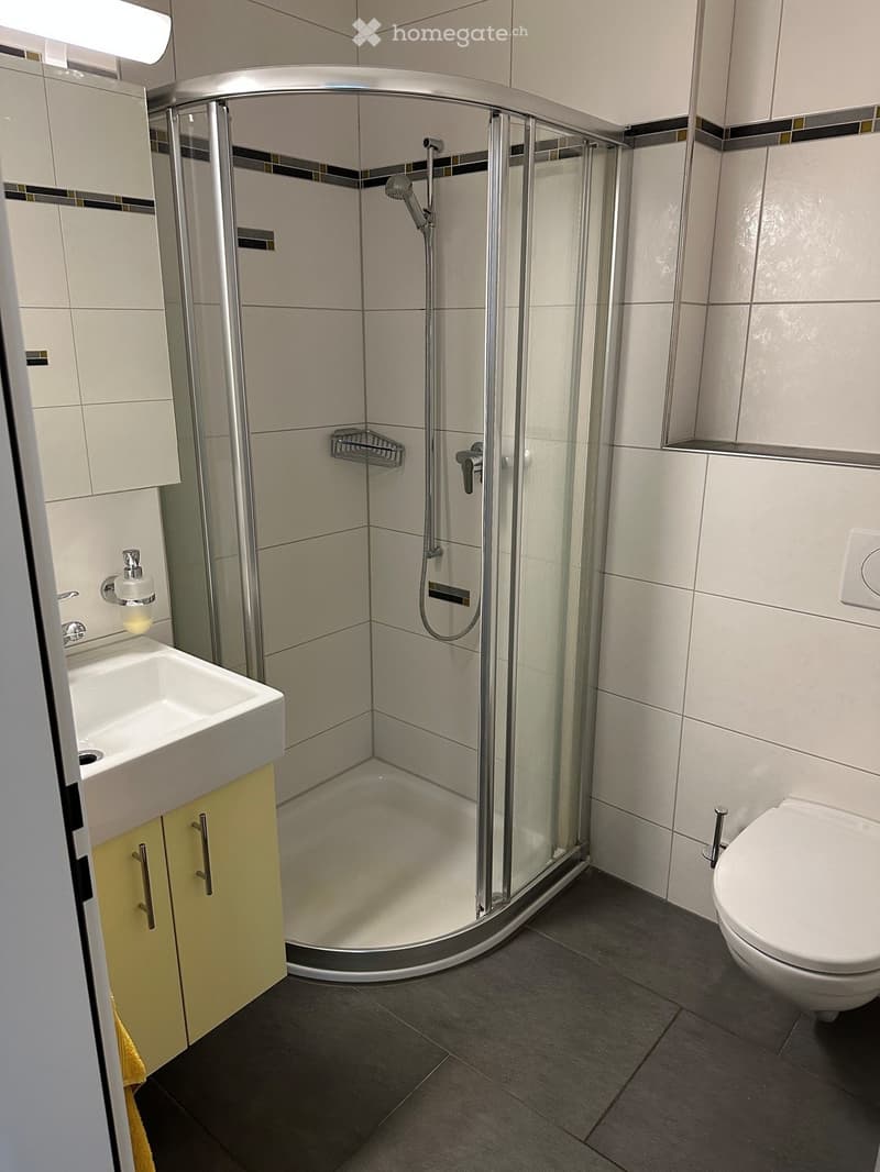 Modern bathroom with a corner shower, sink, toilet, and built-in cabinet. Features white tiles, a glass shower enclosure, and a yellow cabinet.