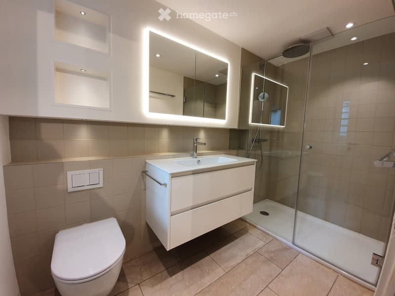 Modern bathroom with a white toilet, sink with a chrome faucet, a large illuminated mirror, and a glass-enclosed shower with a modern showerhead.
