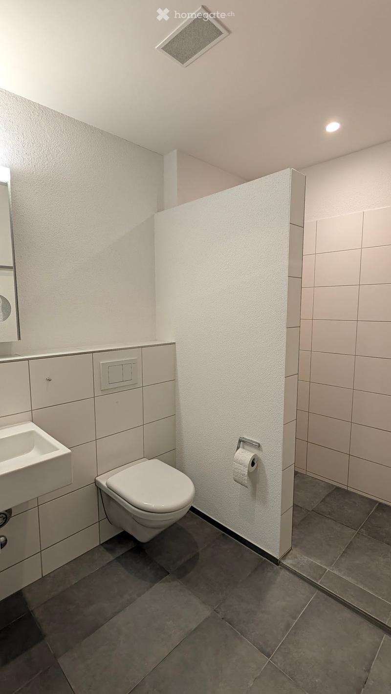 Modern bathroom with white tiled walls, a toilet, a sink with a mirror, and a toilet paper holder mounted on the wall.
