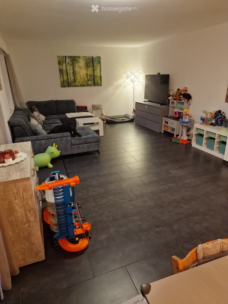 Living room with dark grey sofa, coffee table, dog bed, and various toys scattered around. A television is mounted on the wall, and there is a floor lamp and a small table with a plant on it.