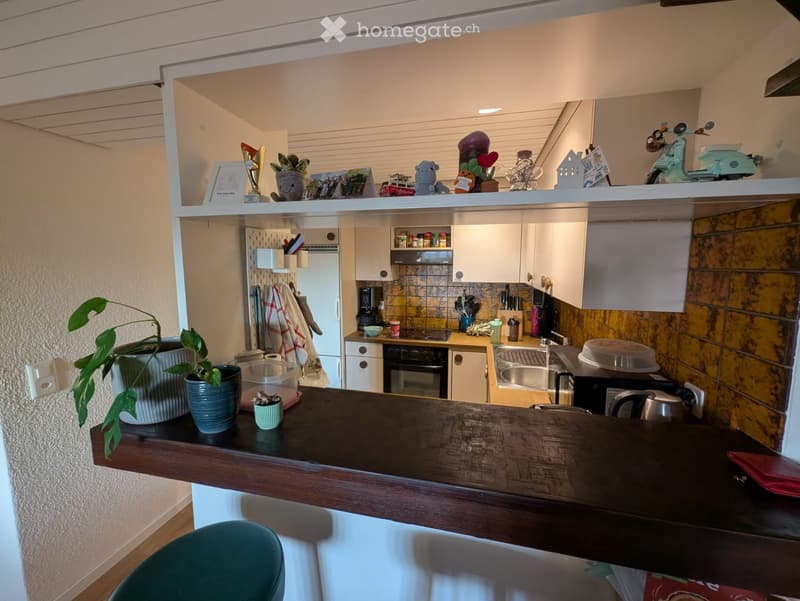 {"type": "Kitchen", "objects": ["sink", "oven", "microwave", "fridge", "cupboard", "stool", "plant", "cup", "faucet", "oven", "cupboard", "stool", "cupboard", "cupboard", "cupboard", "cupboard", "cupboard", "cupboard", "cupboard", "cupboard", "cupboard",