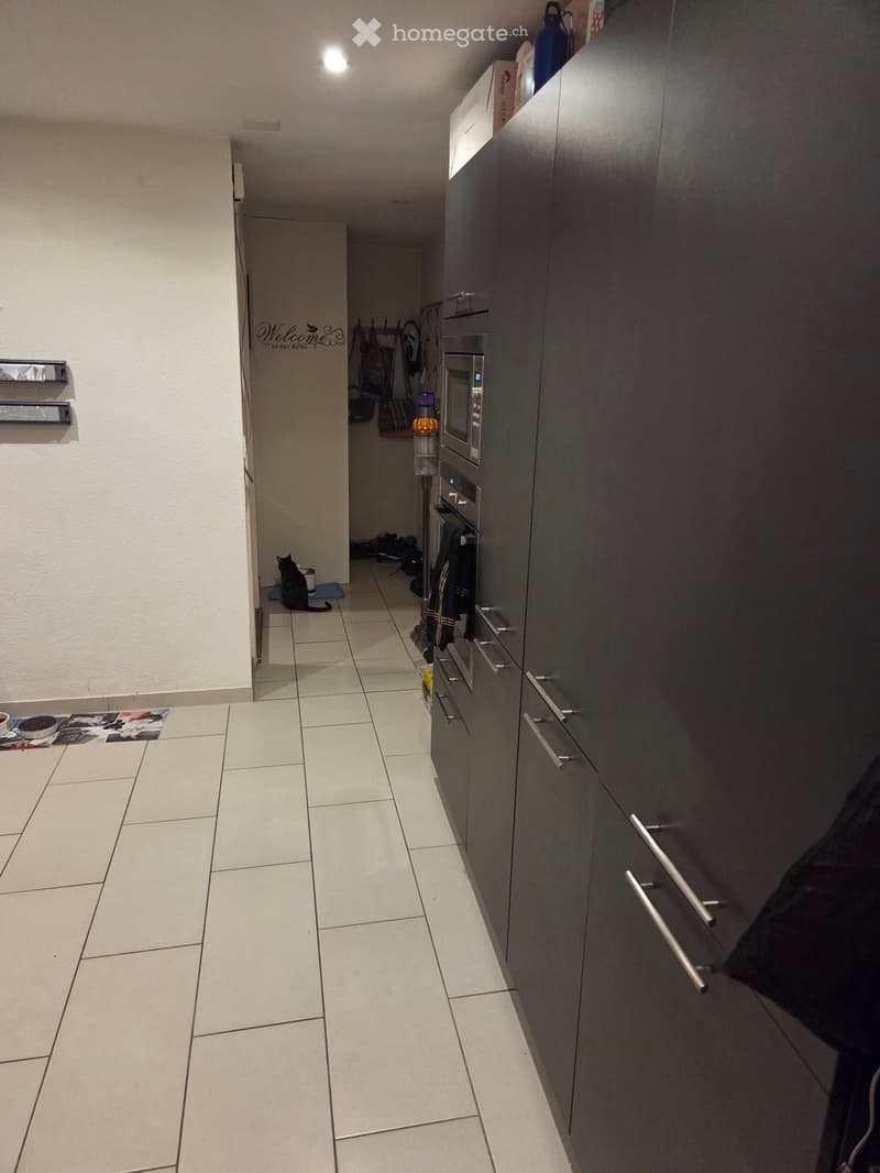 Modern kitchen with grey cabinets, microwave, oven, and a cat sitting on the floor near the entrance.