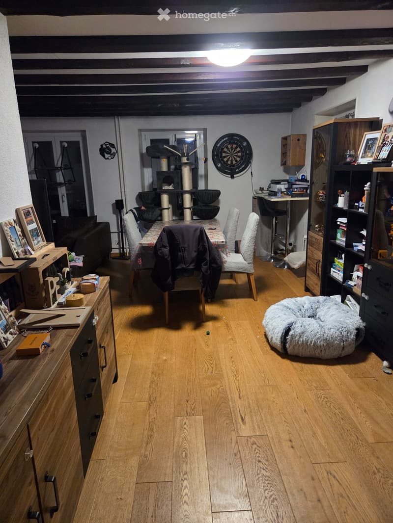 A well-lit living room with wooden flooring, a sofa, a dining table with chairs, a cat tree, a cat bed, a bookshelf, and a dartboard on the wall.