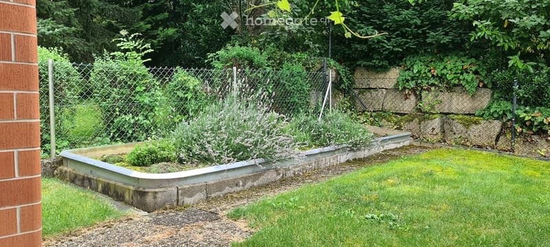 A small garden area enclosed by a chain-link fence, featuring a raised garden bed with herbs and shrubs, a grassy lawn, and a stone retaining wall in the background.