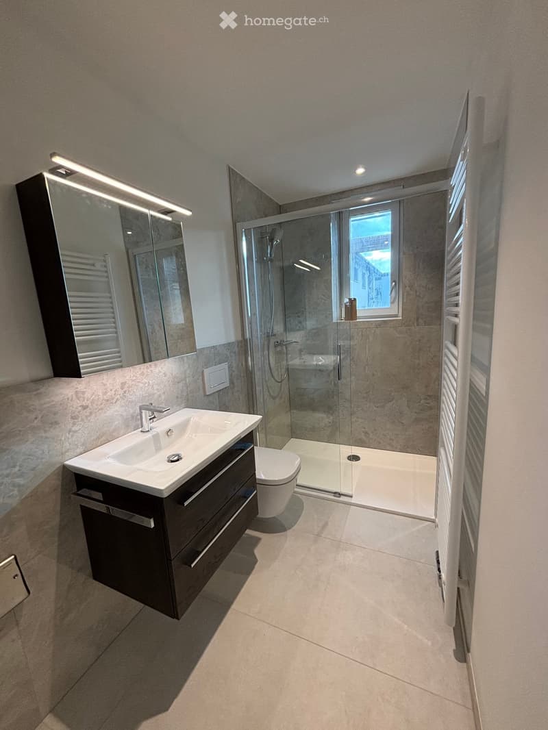 Modern bathroom with a large mirror, sink, toilet, and glass-enclosed shower. Features a window and built-in storage.
