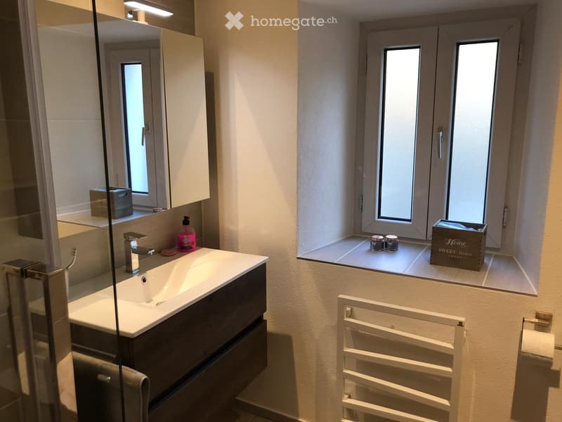 Modern bathroom with a white sink, dark wooden cabinet, mirror, and a towel warmer. The window has frosted glass and a small shelf with decorative items.