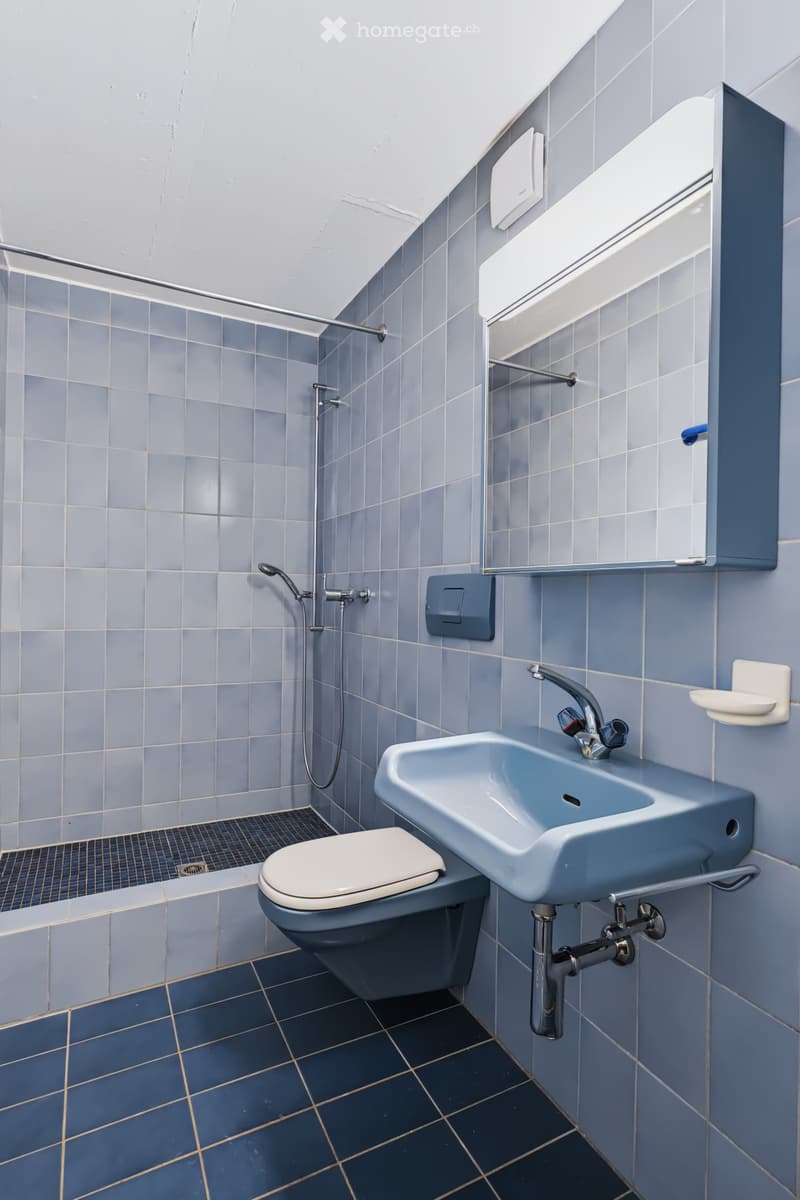 Modern bathroom with blue tiles, white toilet, blue sink, and shower area.