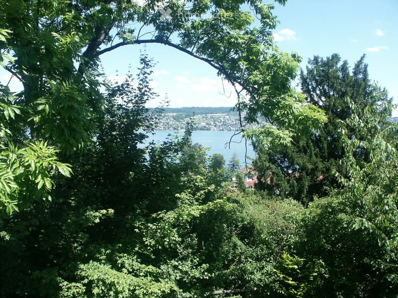 A lush garden with dense green foliage and trees, offering a scenic view of a lake and distant cityscape.