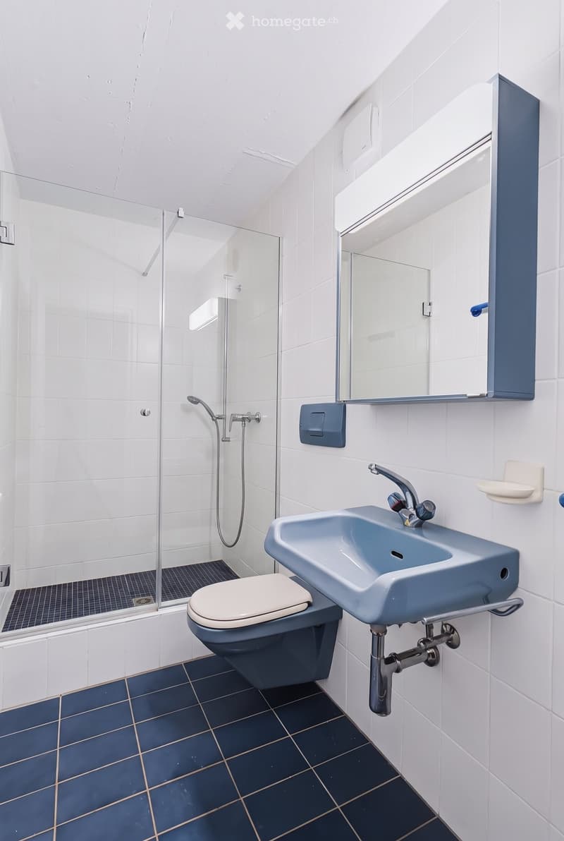 Modern bathroom with white tiled walls, blue tiles on the floor, a toilet, a sink with a faucet, a mirror, and a glass-enclosed shower with a showerhead.