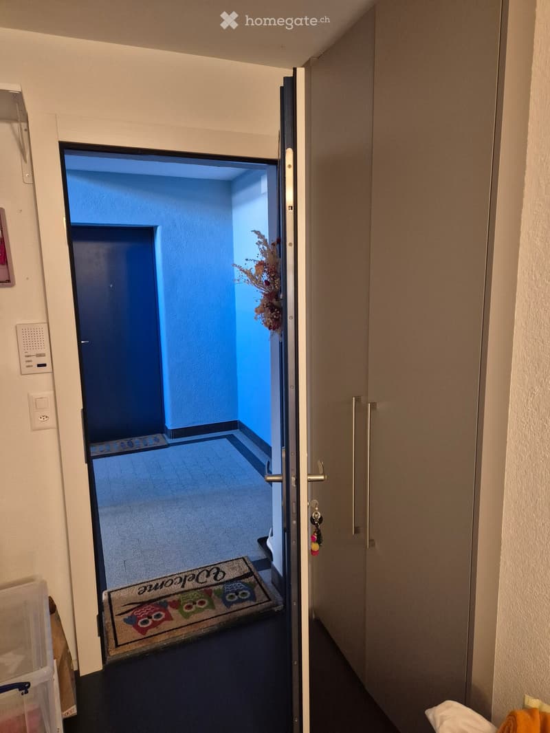 Hallway with a partially open door leading to a blue-lit room, featuring a doormat with owl designs and a small plant visible in the adjacent room.