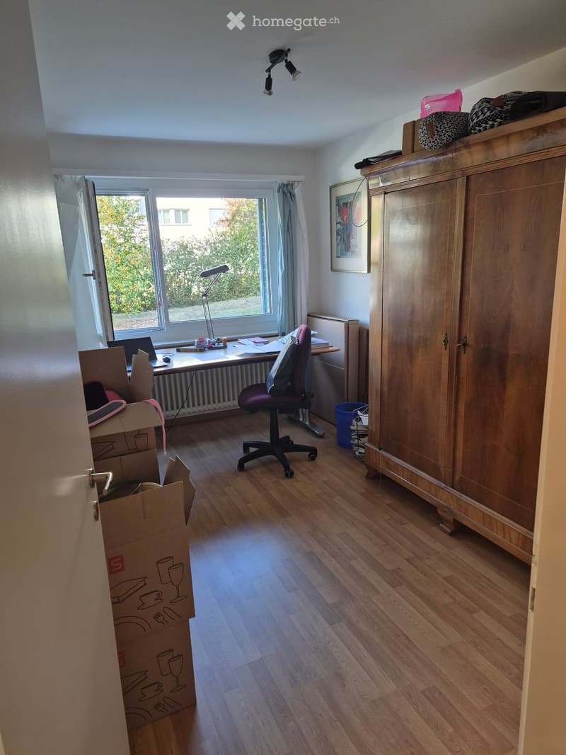 A furnished room with wooden flooring, a large window with a view of greenery, a desk with a laptop, a chair, a cabinet, and a lamp.