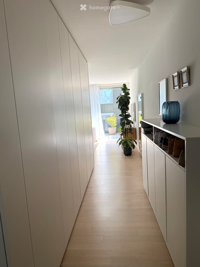 Bright hallway with wooden flooring, white walls, built-in storage unit, and a potted plant visible at the end.