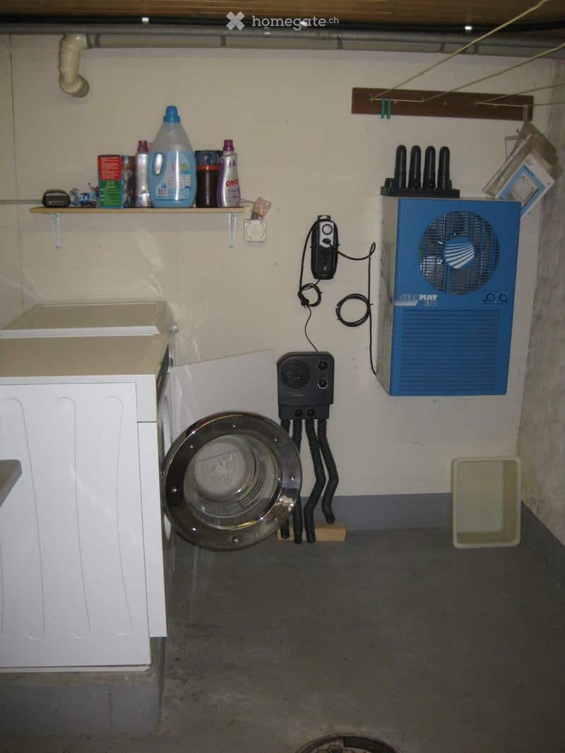 Utility room with a washing machine, fan, shelf with cleaning supplies, and a small sink.