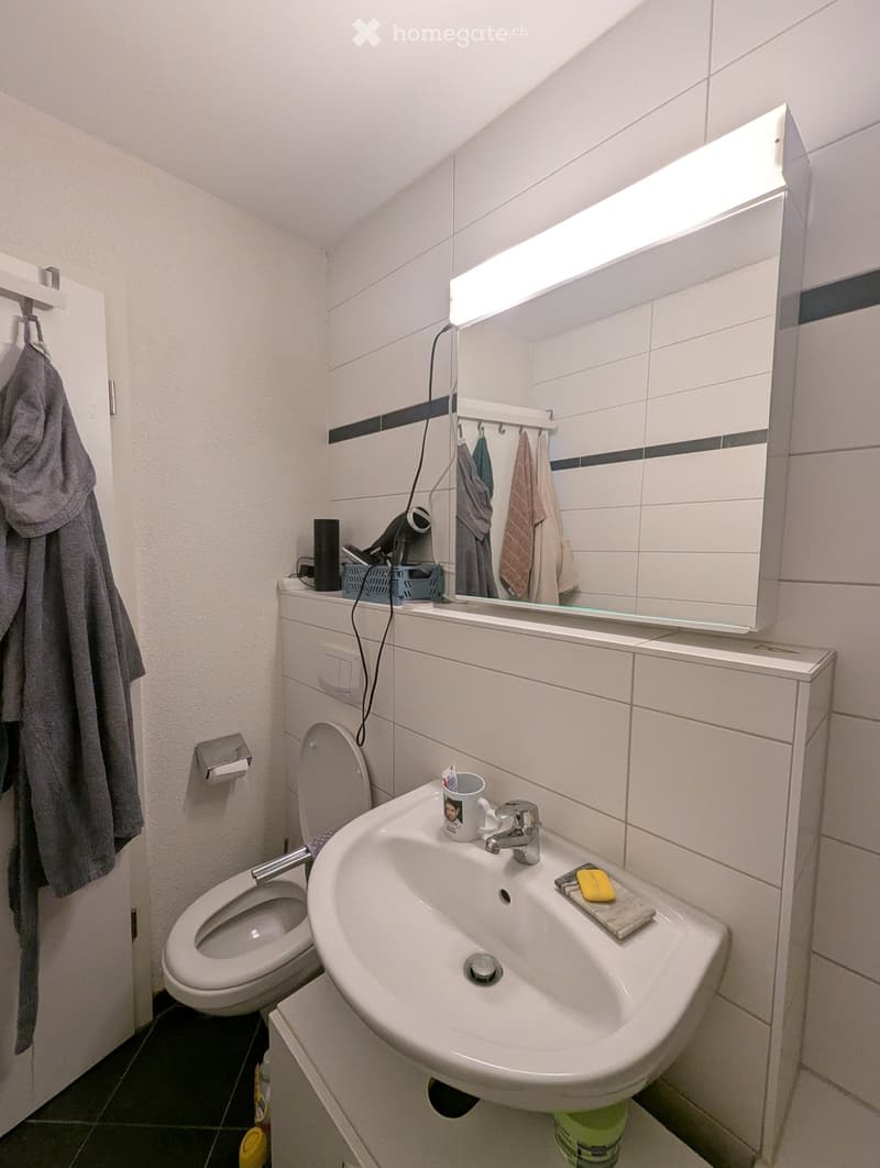 ApaHelle 2.5-Zimmer-Wohnungrtment in Zürich mit Balkon - Wiedikon, Kreis 3 (4)