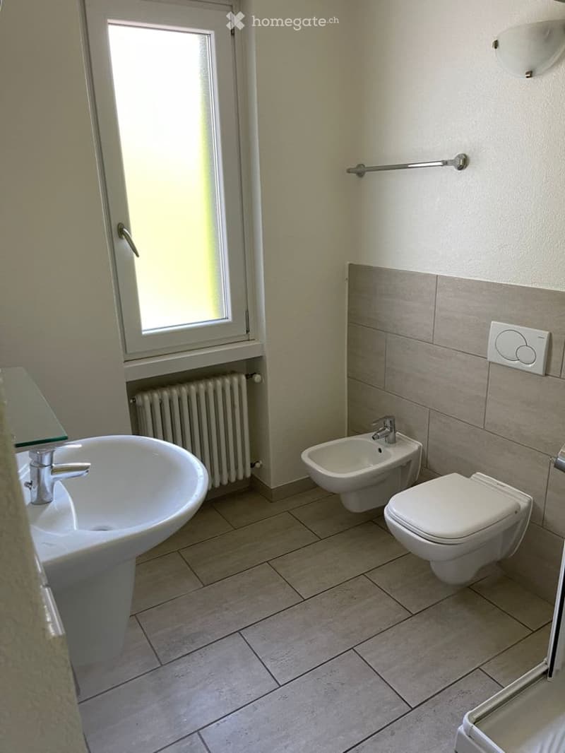 Modern bathroom with a sink, toilet, bidet, and radiator. Features a window for natural light and a sleek design.