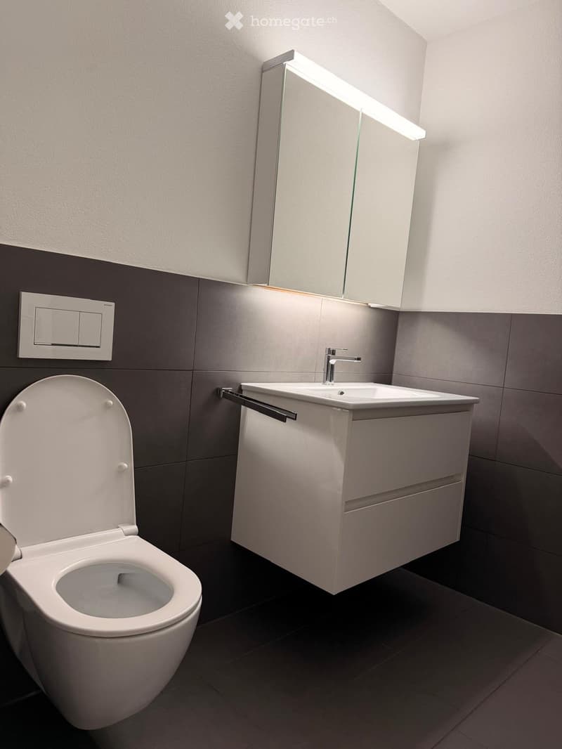 Modern bathroom with a white toilet, a white sink with a modern faucet, and a mirrored cabinet above the sink. The walls are tiled in a two-tone design with grey tiles on the lower half and white tiles on the upper half.