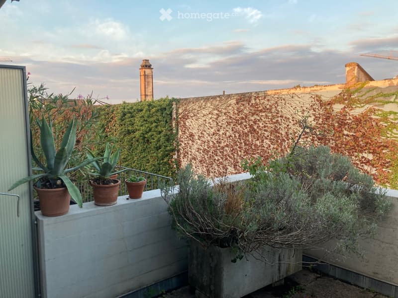 A rooftop terrace with potted plants, including aloe and lavender, overlooking a cityscape with a prominent tower and a stone wall covered in ivy.