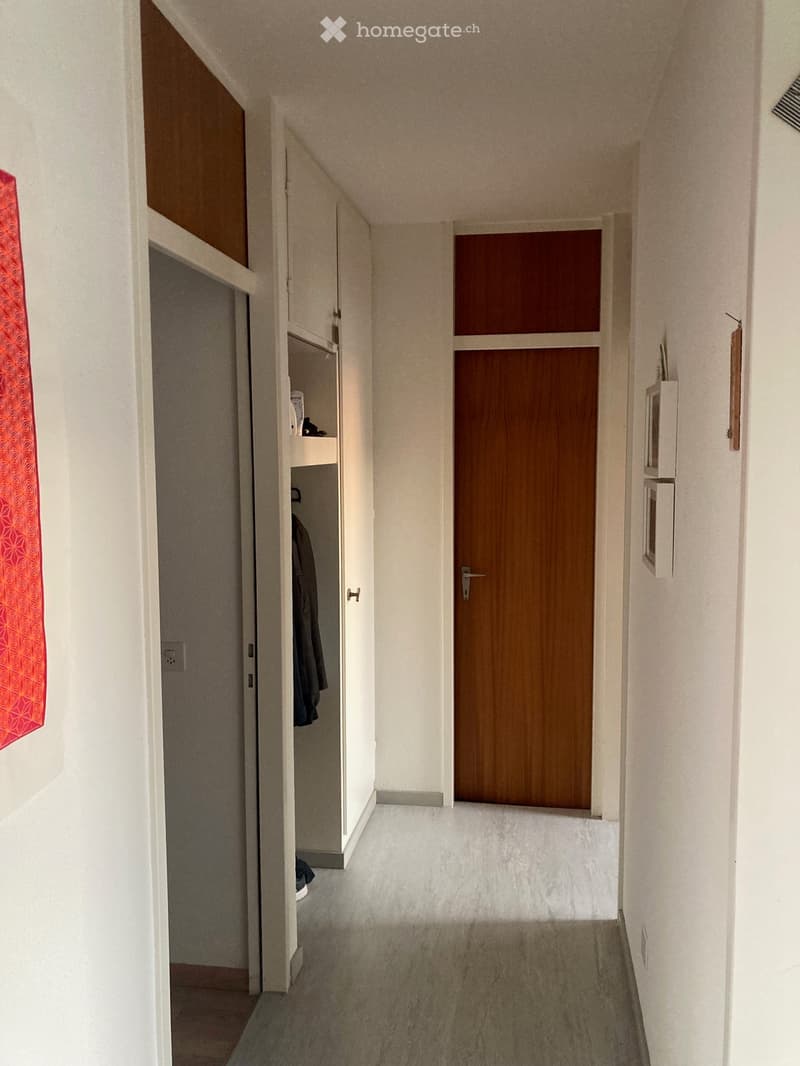 A narrow hallway with white walls, carpeted floor, and a wooden door at the end. An open closet with clothes and a small shelf is visible on the left side.