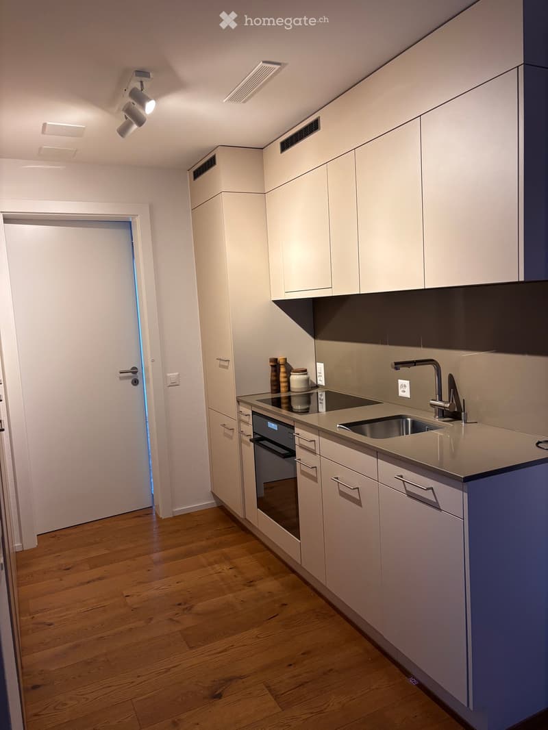 Modern kitchen with white cabinets, stainless steel sink, and oven. Wooden floor and track lighting.