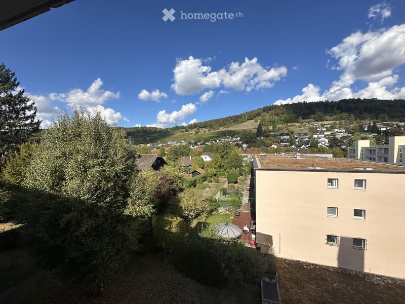 Balcony overlooking a scenic town with vineyards, houses, and a hill in the background under a partly cloudy sky.